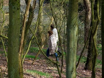 Blik vanaf de Trapjesberg