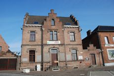 Brabants Trekpaard
