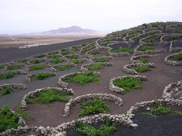 Costa Teguise To Playa Blanca Race Cycle Route Routeyou