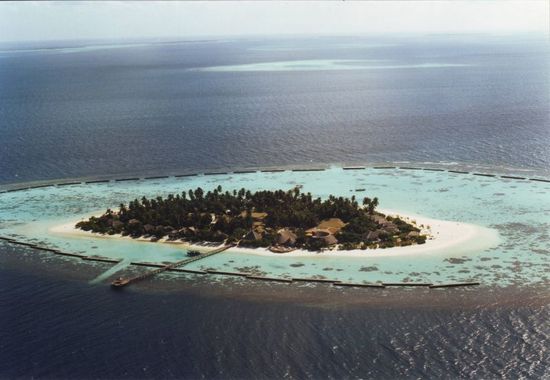 Turtle Island - Island 